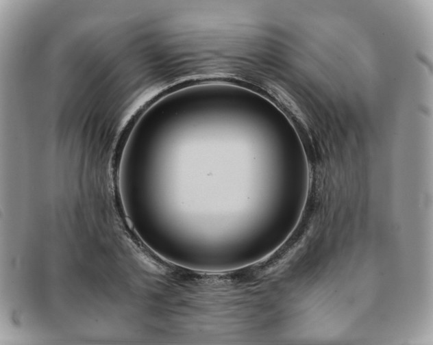 X0000091540789200708171243