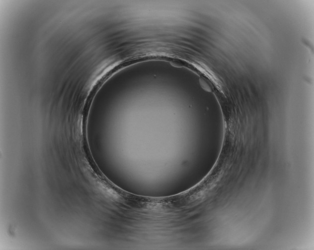 X0000091540790200708171243