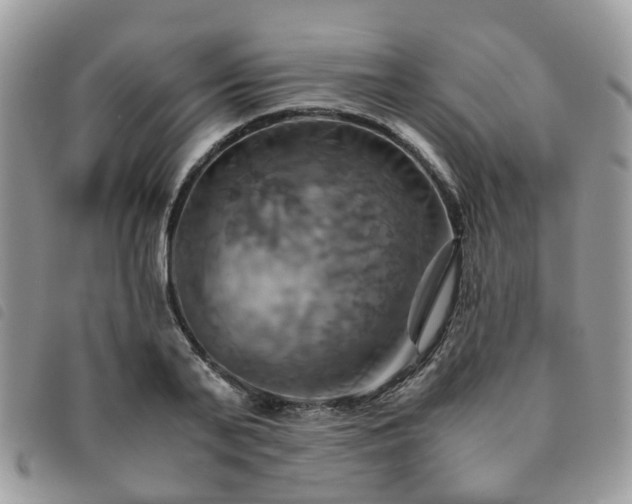 X0000091540791200708171243