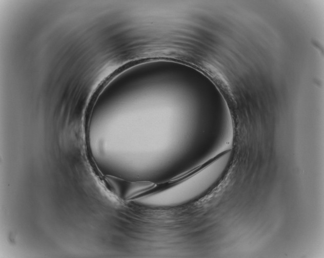 X0000091540792200708171243