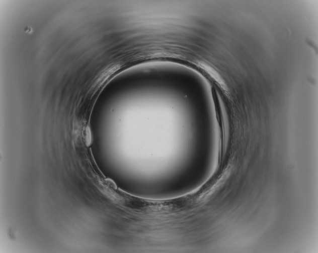 X0000091540793200708171243