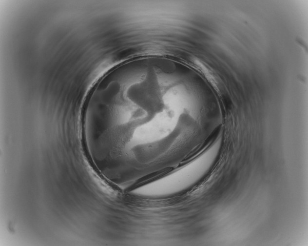 X0000091540795200708171243
