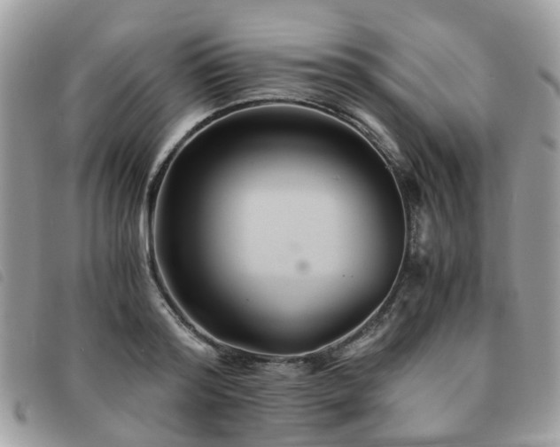X0000091540796200708171243