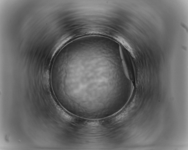 X0000091540798200708171243