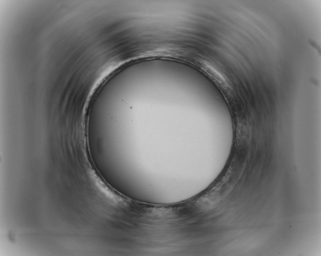 X0000091540800200708171243