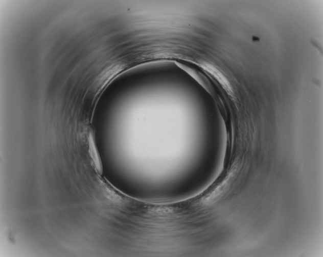 X0000091540801200708171242