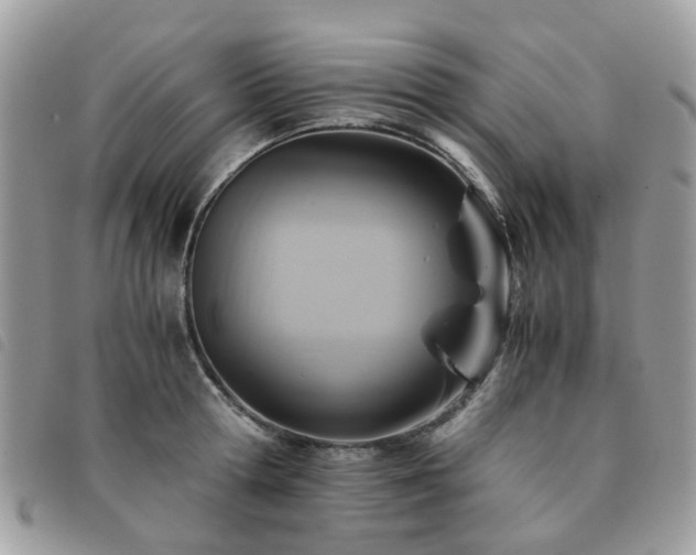 X0000091540802200708171242