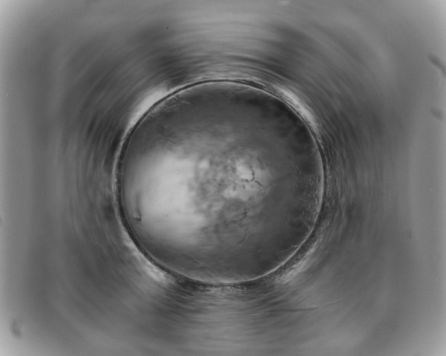 X0000091540803200708171242