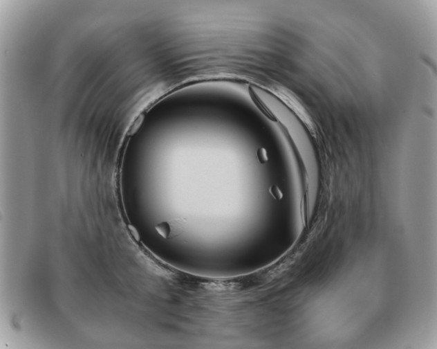 X0000091540805200708171242