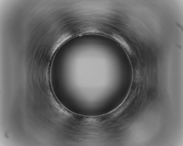 X0000091540806200708171242