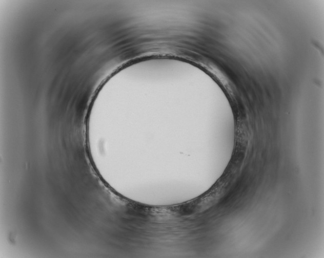 X0000091540807200708171242