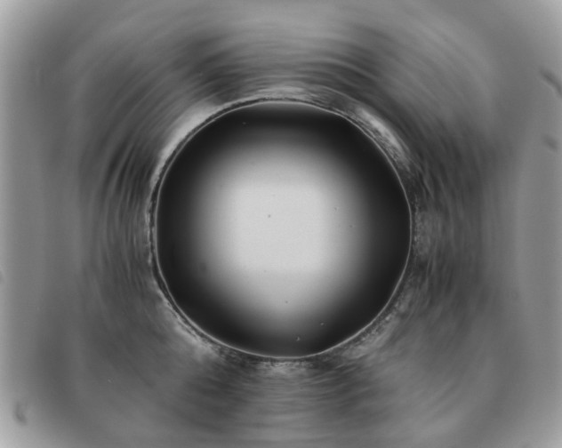 X0000091540808200708171242