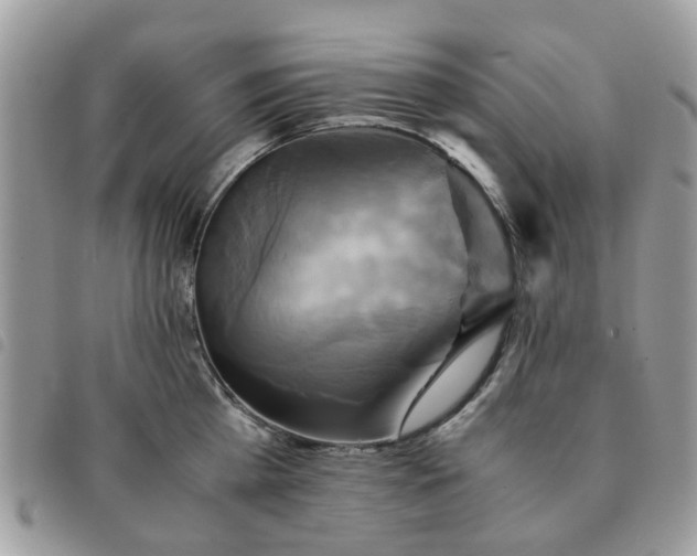 X0000091540809200708171242