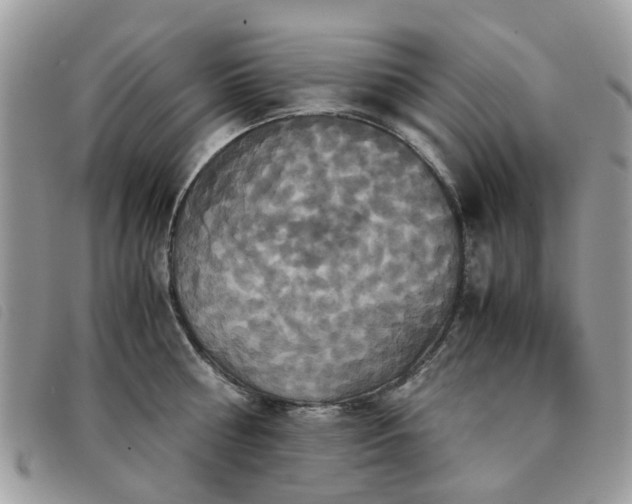 X0000091540810200708171242