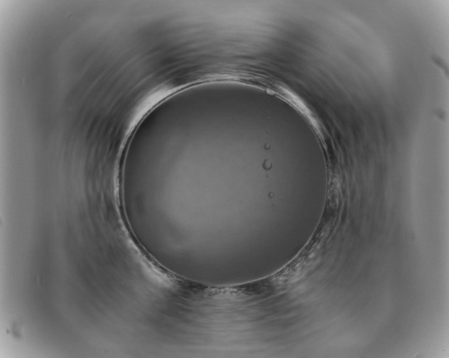 X0000091540811200708171242