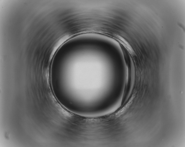 X0000091540812200708171242