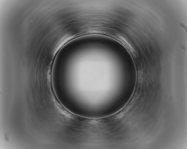 X0000091540814200708171242