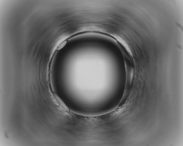 X0000091540815200708171242