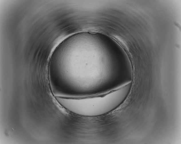 X0000091540816200708171242