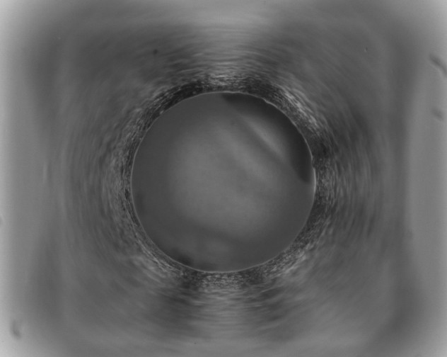 X0000091540817200708171242