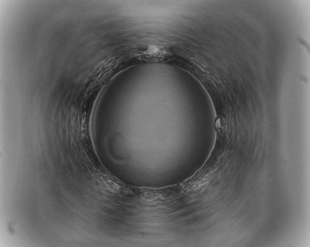 X0000091540818200708171242