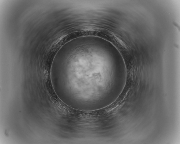 X0000091540821200708171242