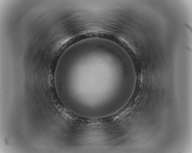 X0000091540822200708171242