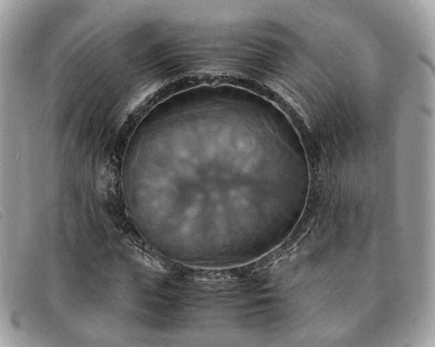 X0000091540823200708171242