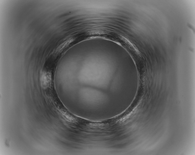X0000091540825200708171242
