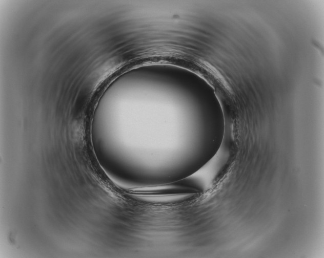 X0000091540826200708171242