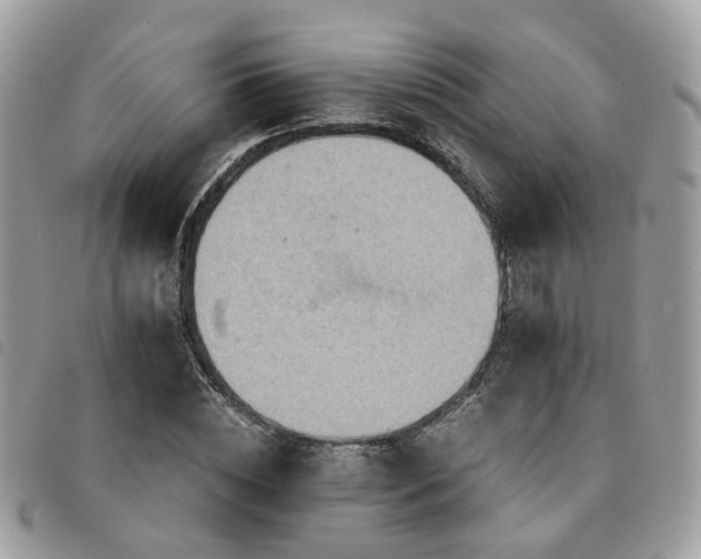 X0000091540828200708171242