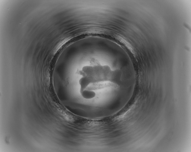 X0000091540829200708171242