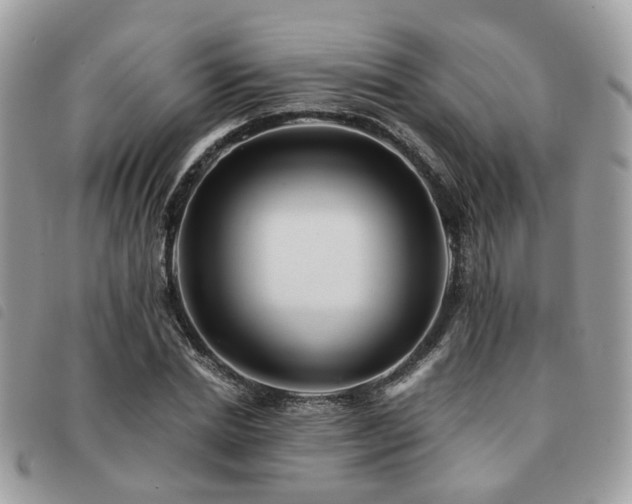 X0000091540830200708171242