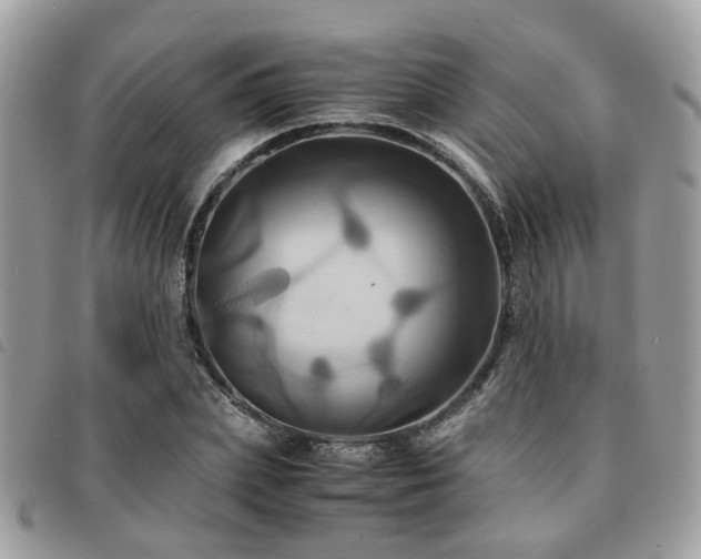 X0000091540831200708171242