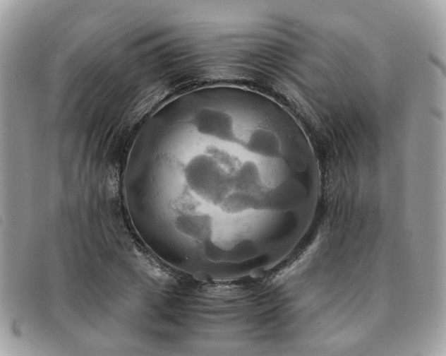 X0000091540833200708171242
