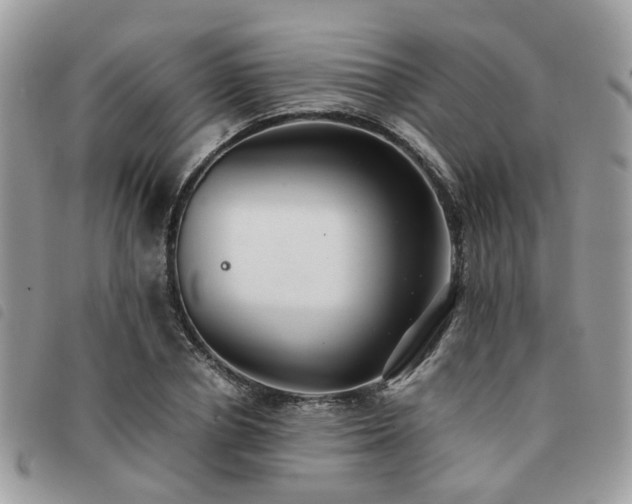 X0000091540834200708171242