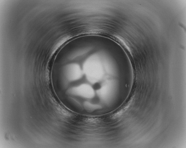 X0000091540835200708171242
