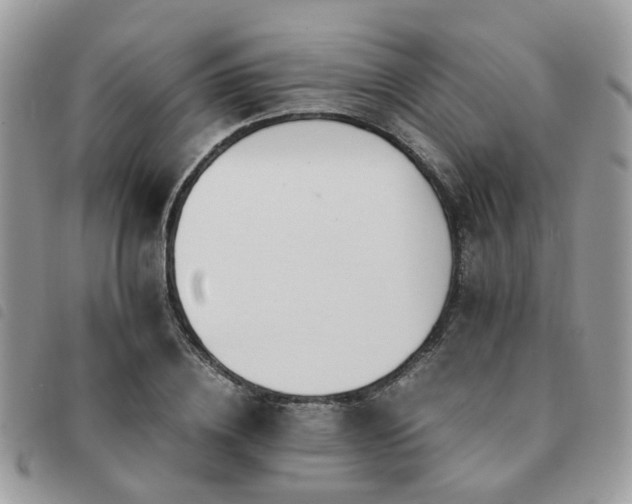 X0000091540836200708171242