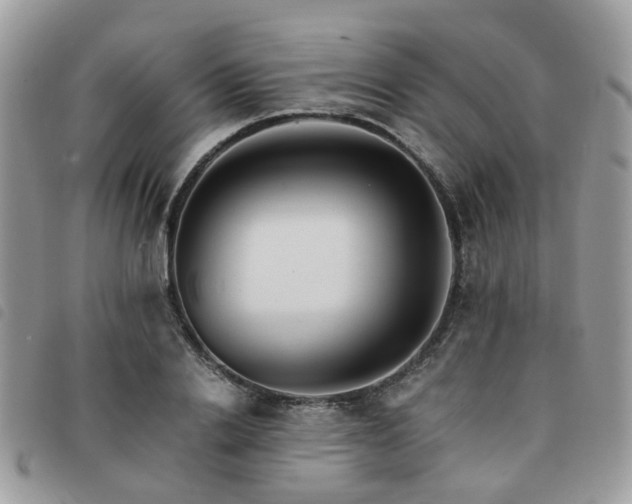 X0000091540838200708171242
