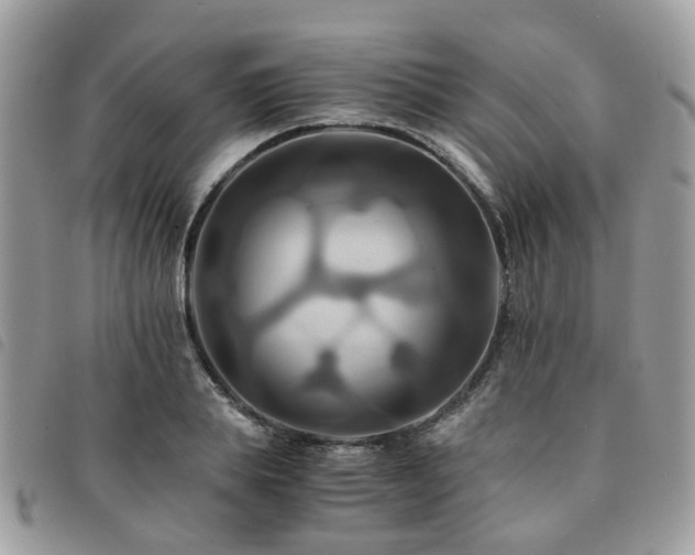 X0000091540839200708171242