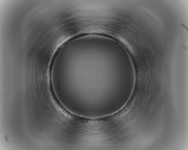 X0000091540840200708171242
