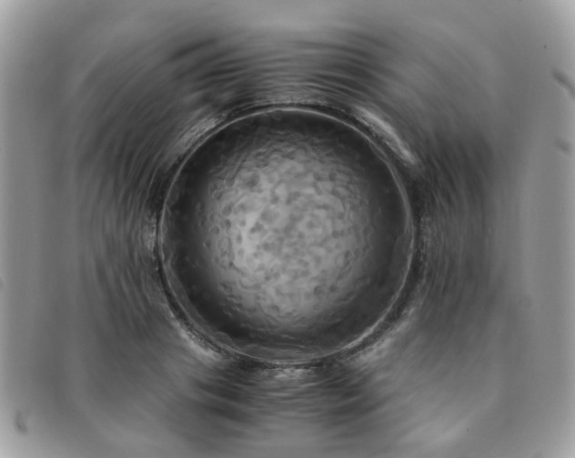 X0000091540841200708171242