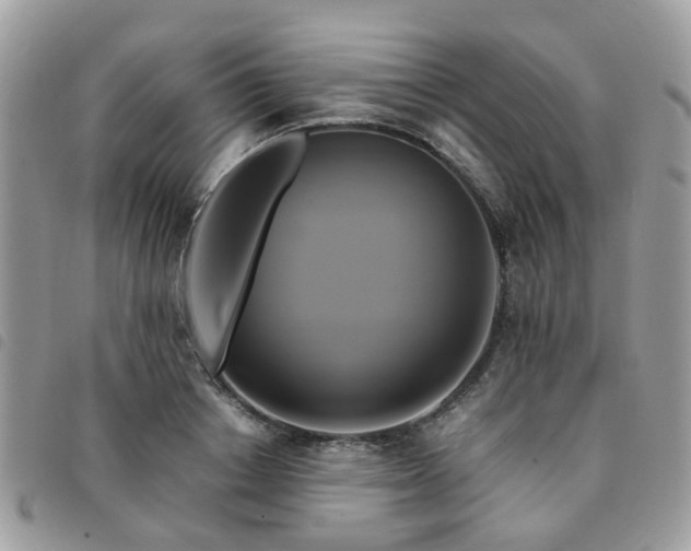 X0000091540842200708171242