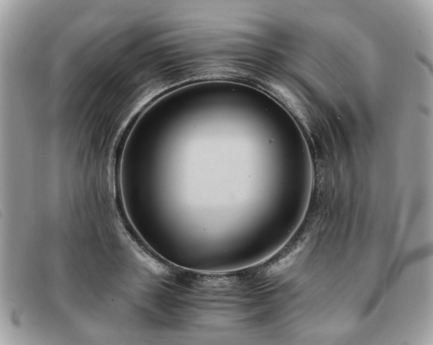 X0000091540843200708171242