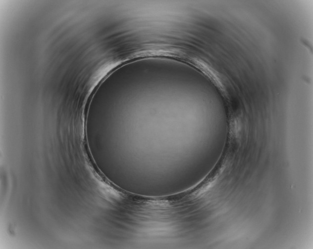 X0000091540844200708171242