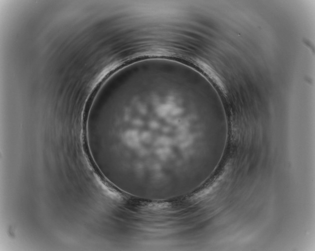 X0000091540845200708171242