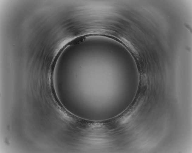 X0000091540846200708171242