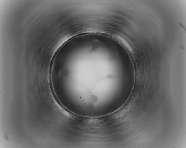 X0000091540847200708171242