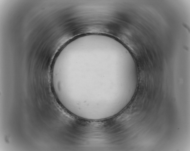 X0000091540848200708171242