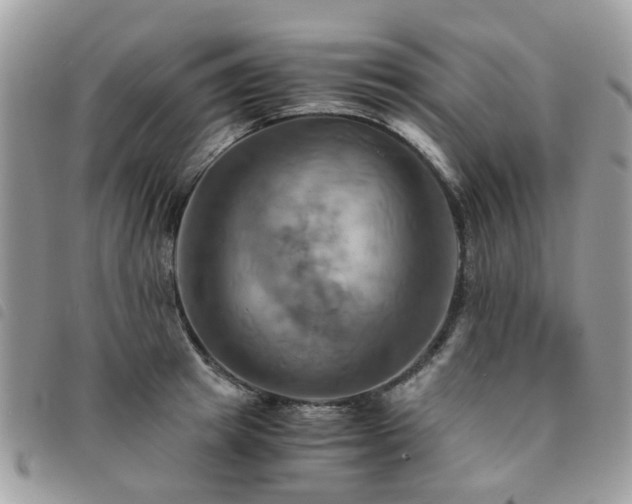 X0000091540849200708171242
